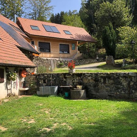 La Maison De Jean Les Adrets Bagian luar foto